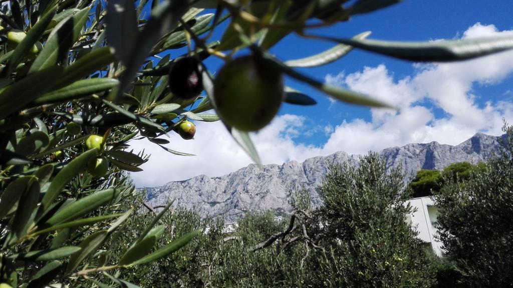 Apartmani Sabic A6 Makarska Buitenkant foto